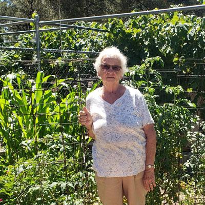 High Country Garden Club Blog Tips Tricks Gardening Payson Arizona Southwest