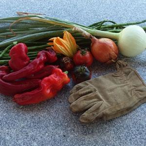 Vegetables Gardening Glove High Country Garden Club Payson, AZ Rim Country Star Valley Phoenix Pine Strawberry Globe