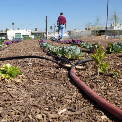 High Country Garden Club Education Resources About Gardening Supplies Payson, AZ