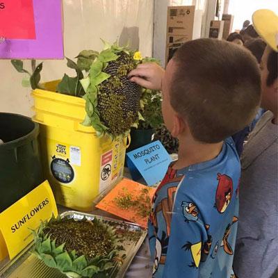 Young Child Learns about Flowers and Gardening at High Country Garden Club Event Join Us
