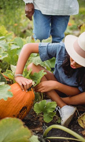 Activities High Country Garden Club Graduatin Senior School Scholarship Program Apply Payson High School AZ