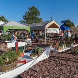 About High Country Garden Club Plant Sale Public Basha's Payson, AZ Parking Lot May