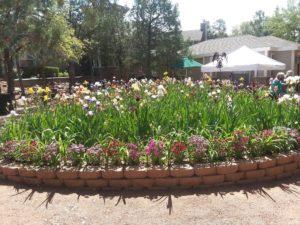 High Country Garden Club Blog Garden Tours Iris