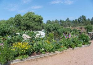 High Country Garden Club Star Valley Community Garden rim country gardening