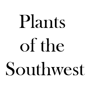 Plants of the Southwest Logo