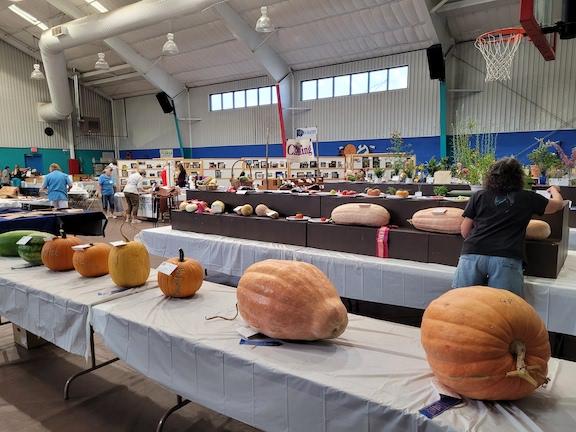 High Country Garden Club Blog Garden Stories Northern Gila County Fair