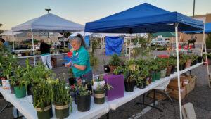 High Country Garden Club Blog Events Plant Sale