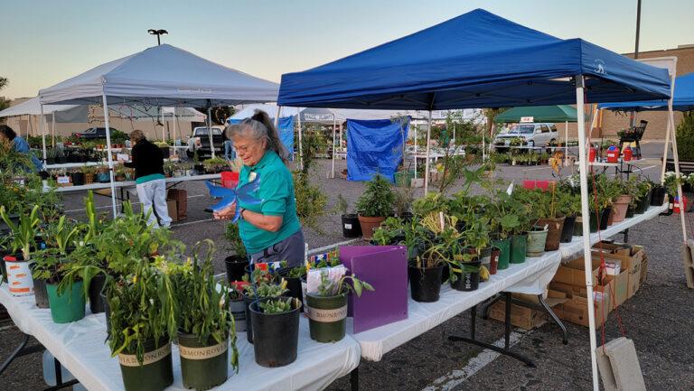 High Country Garden Club Blog Events Plant Sale